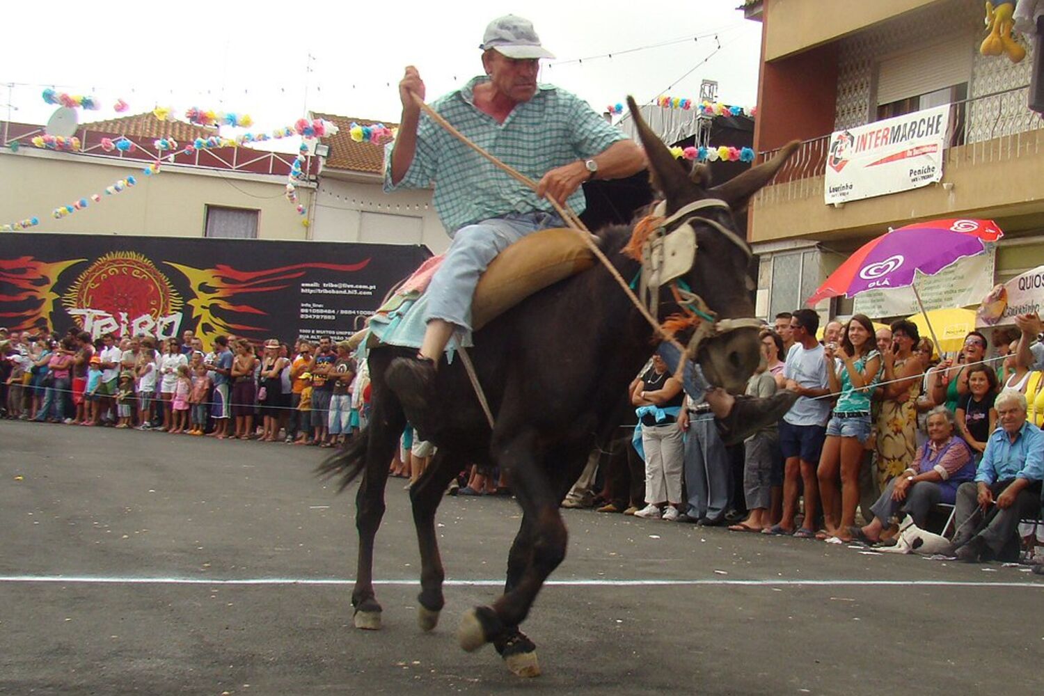 Corrida de burros anima festas de Ferrel - Portugal - Correio da Manhã