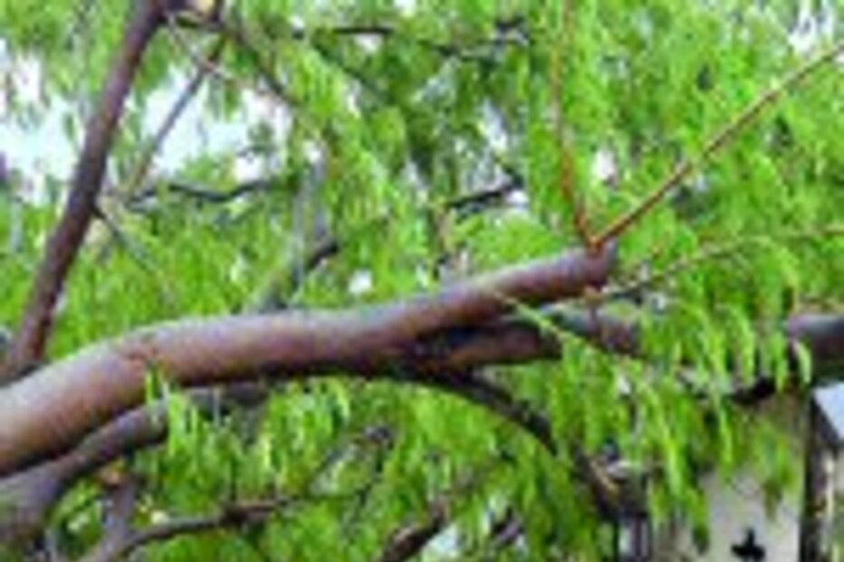 Portugueses não saíram dos hotéis