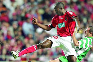 Águia andou perdida