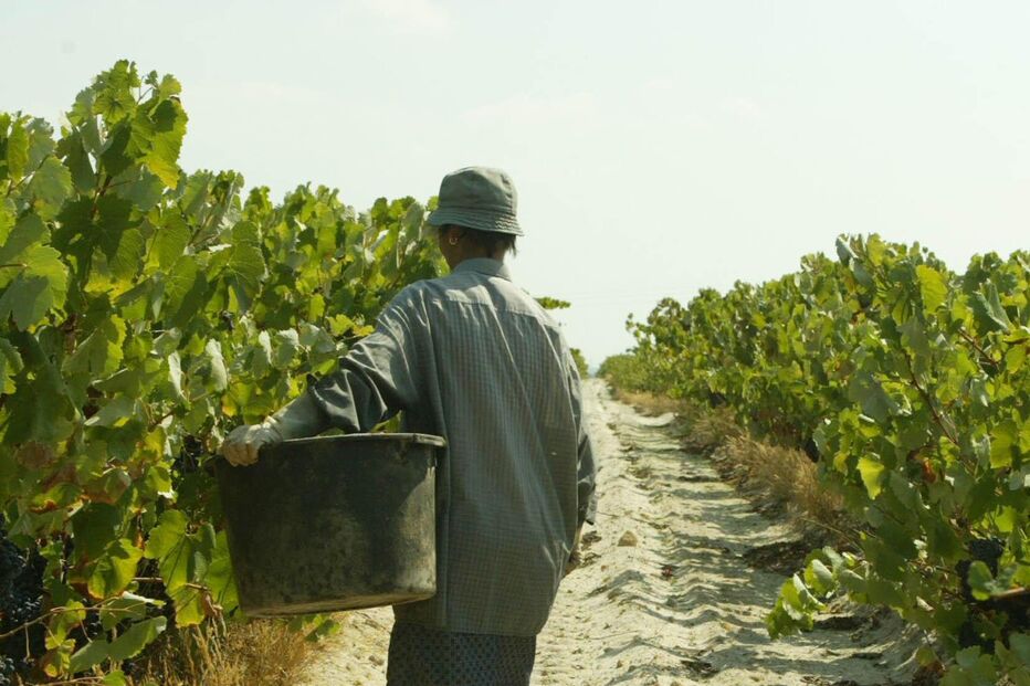 Governo investe 185 milhões