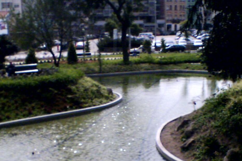Falta limpeza nos jardins do Porto
