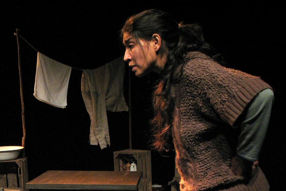 ‘Canção do Vale’ estreia no Teatro Nacional D. Maria II