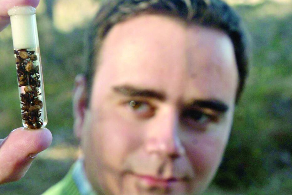 Eu estudo aranhas, reptéis e gosto...