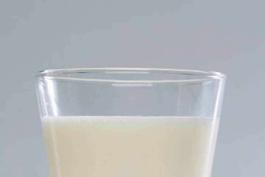 Leite mantém preço em 2009