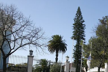 Preso homicida da Casa Pia  
