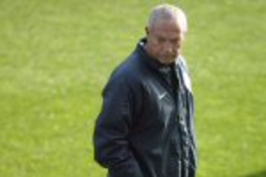 Jovens dragões brilham