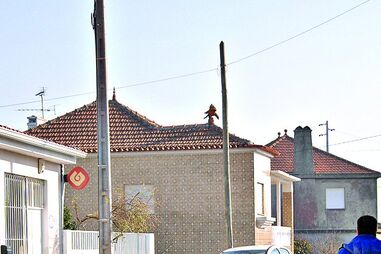 Esfaqueado por amigo em casa