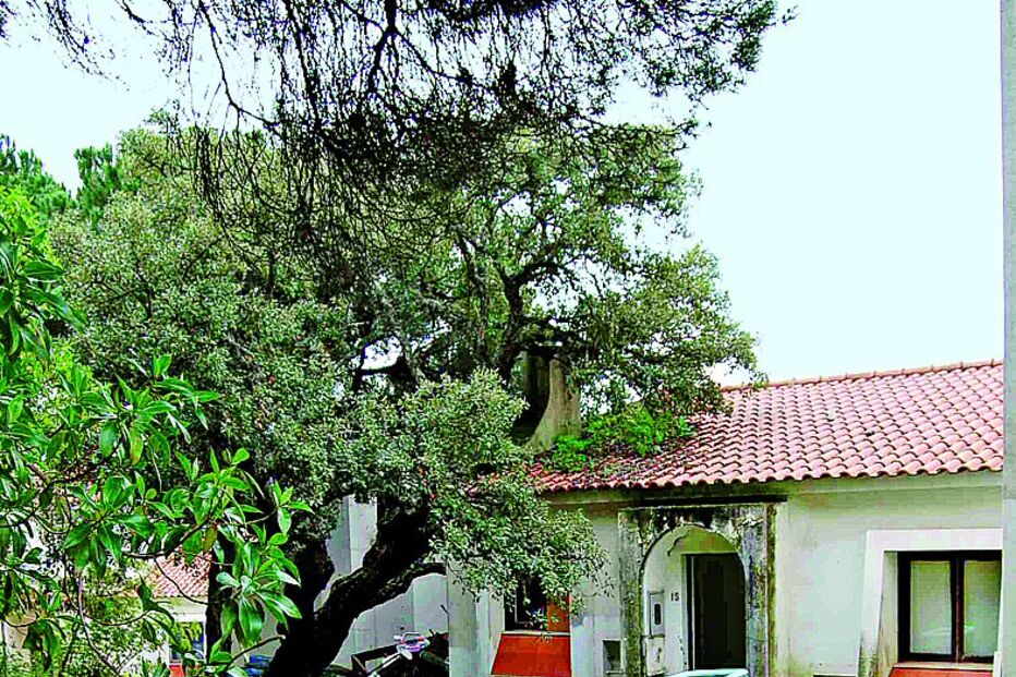 Sequestrado e agredido por trio