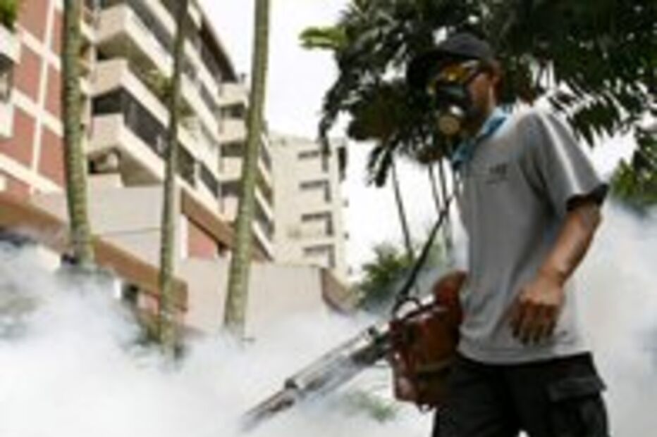 DGS alerta para casos de dengue 