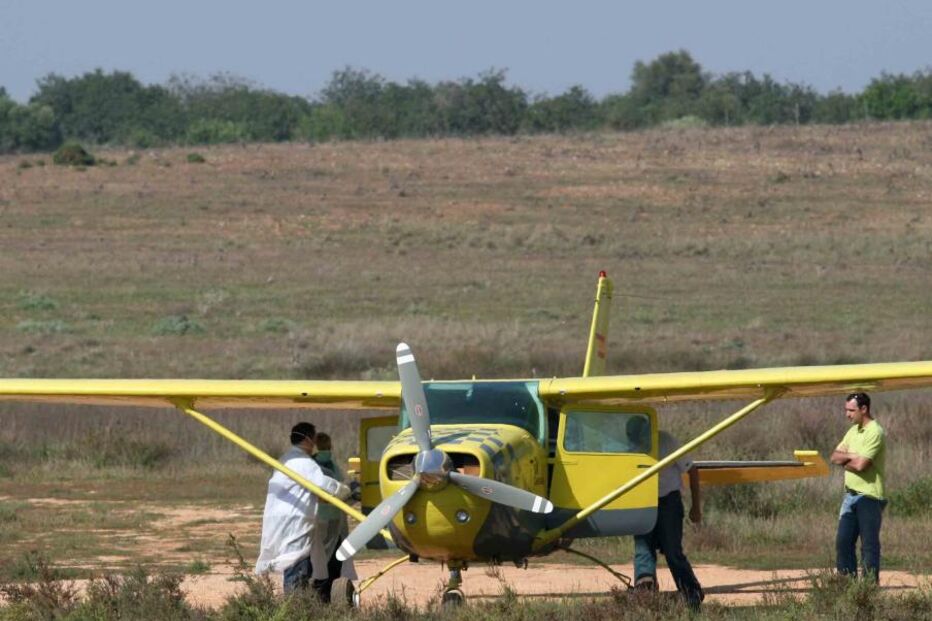 Avião F16 caça  avioneta suspeita