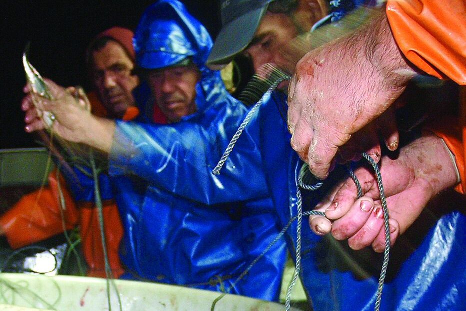 Peixe preso pelos anzóis da economia