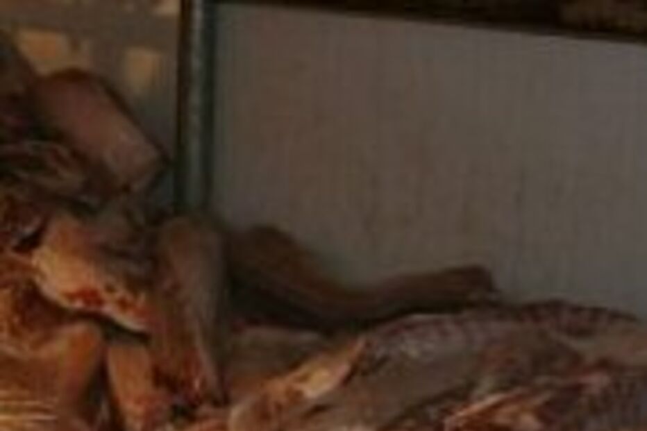 Rússia proíbe importação de carne de porco