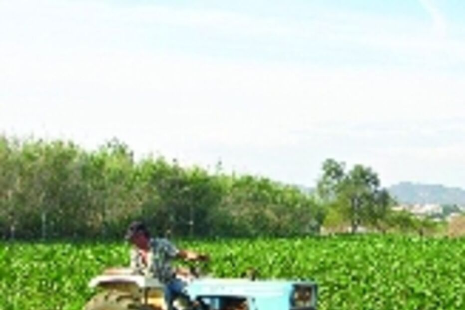 Agricultores em protesto nacional