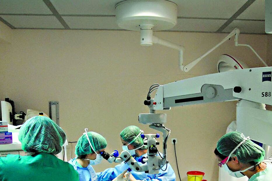 Visão mais saudável no Alentejo