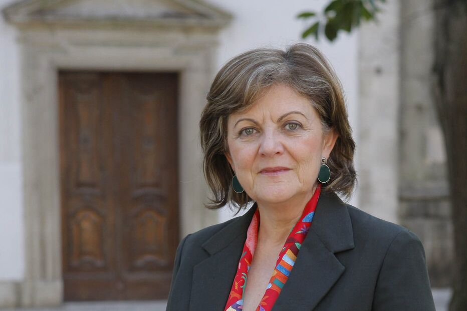 Elisa só declara os imóveis  