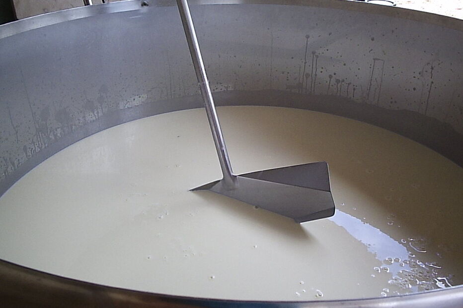 Produtores de leite protestam