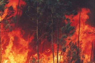 Canadá: Incêndios levam à evacuação de 17 mil