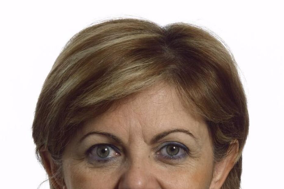 Autárquicas: Elisa Ferreira mantém candidatura