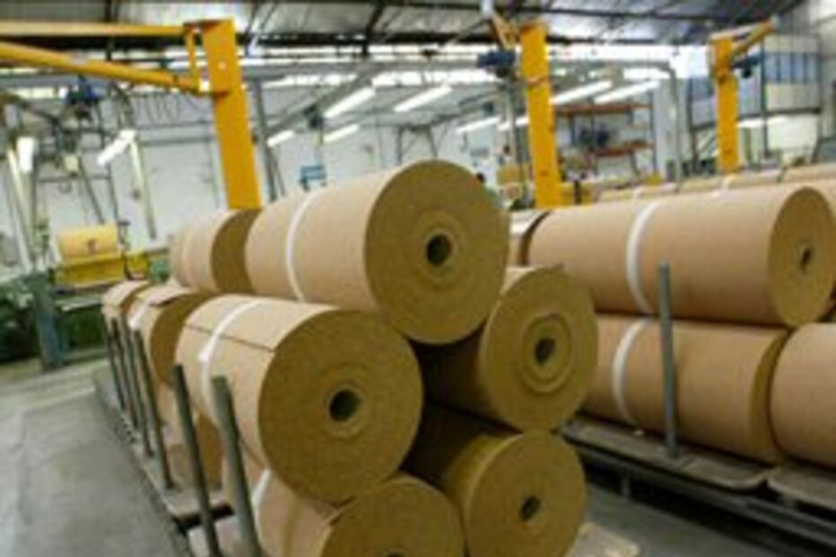 Corticeira Amorim com prejuízo de 3,49 milhões