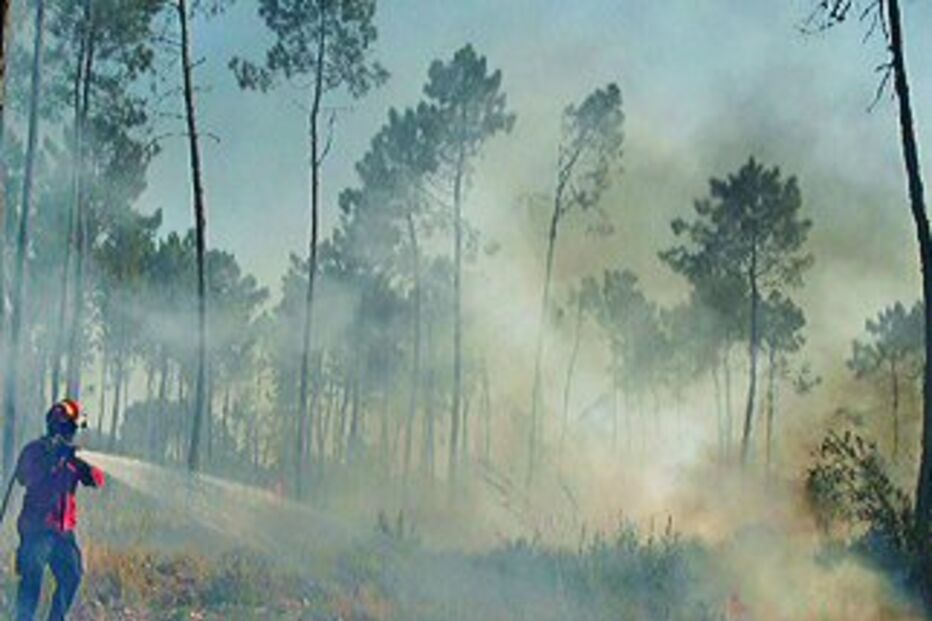 Quatro fogos na Margem Sul