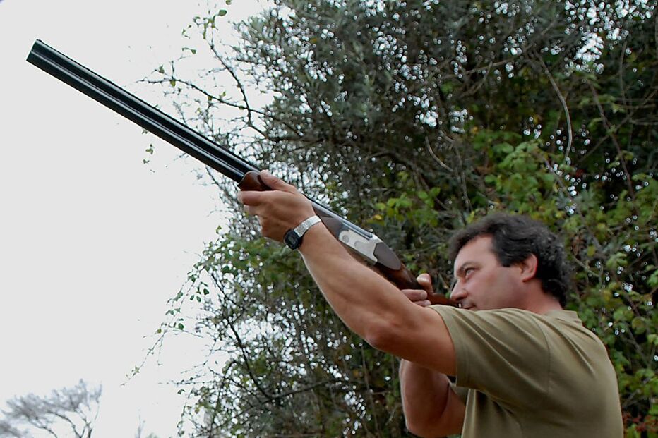 Caça no terreno livre limitada a três regiões