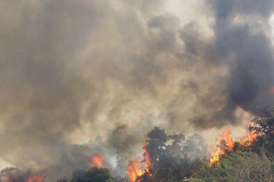Área ardida é a maior dos últimos anos