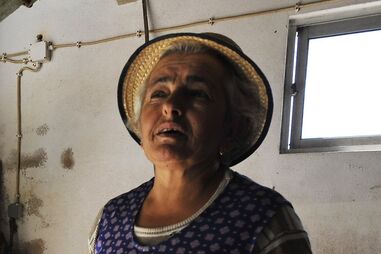 Atirado no carro para ribanceira