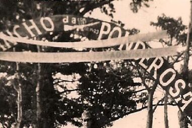 "No mato tinha de matar para não morrer"