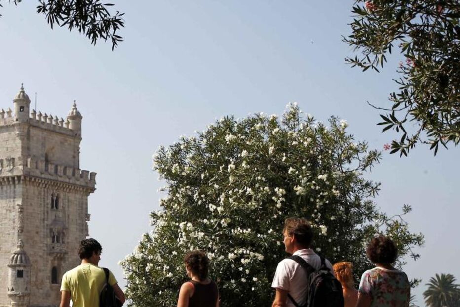 Eleitores gozam dia de sol