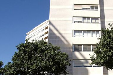 Alvalade teme abate de laranjeiras