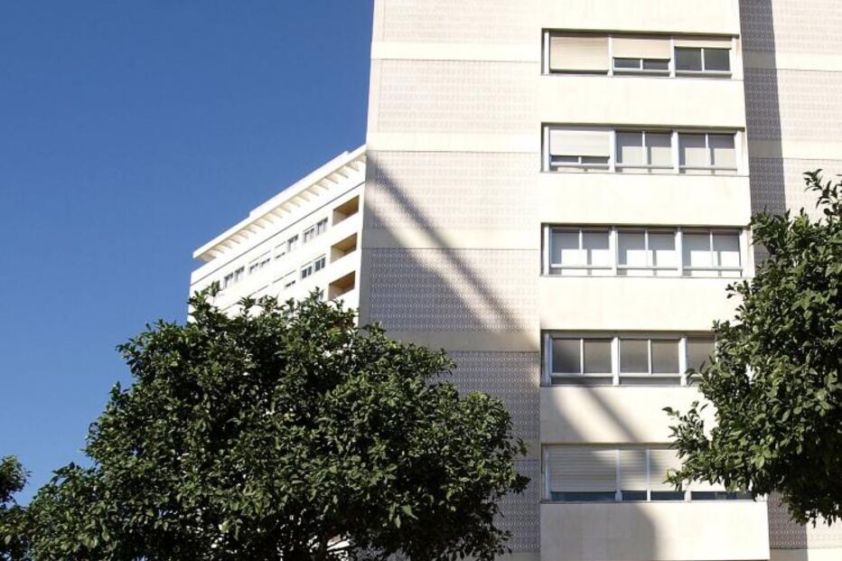 Alvalade teme abate de laranjeiras