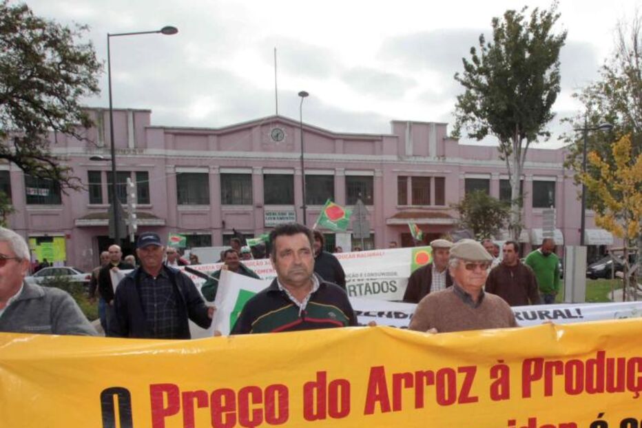 Produtores de arroz contra “especulação dos preços”