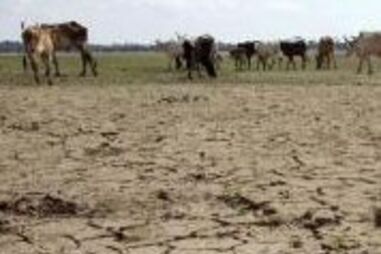 2010 vai ser o ano mais quente