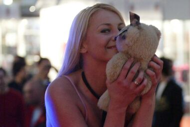 ‘Eros’ apresenta recordista de sexo