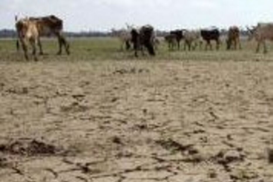 2010 vai ser o ano mais quente