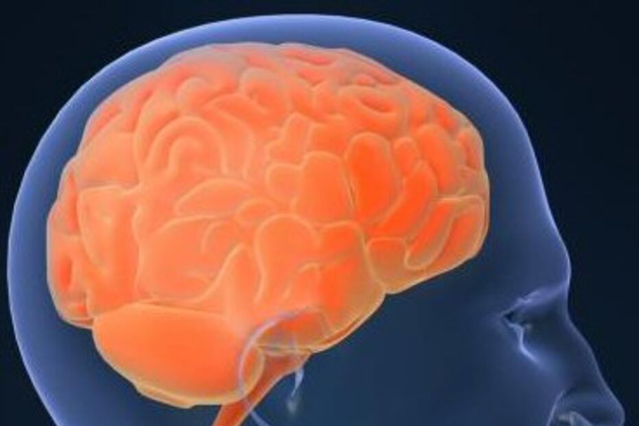 Descoberta zona do cérebro onde se aloja a esquizofrenia