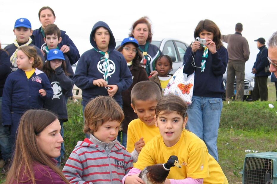 Pato devolvido à natureza