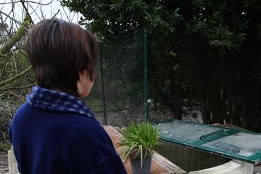 Jovem arrisca vida para salvar cadela