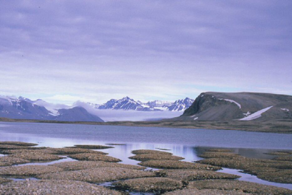 Metano no Árctico ameaça a vida
