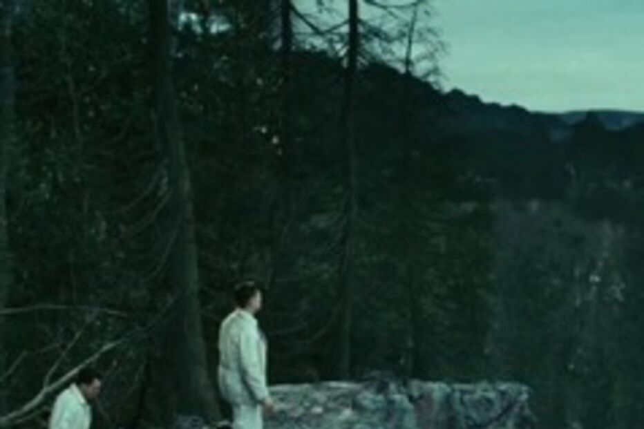 Elogio da loucura segundo Scorsese (COM VÍDEO)