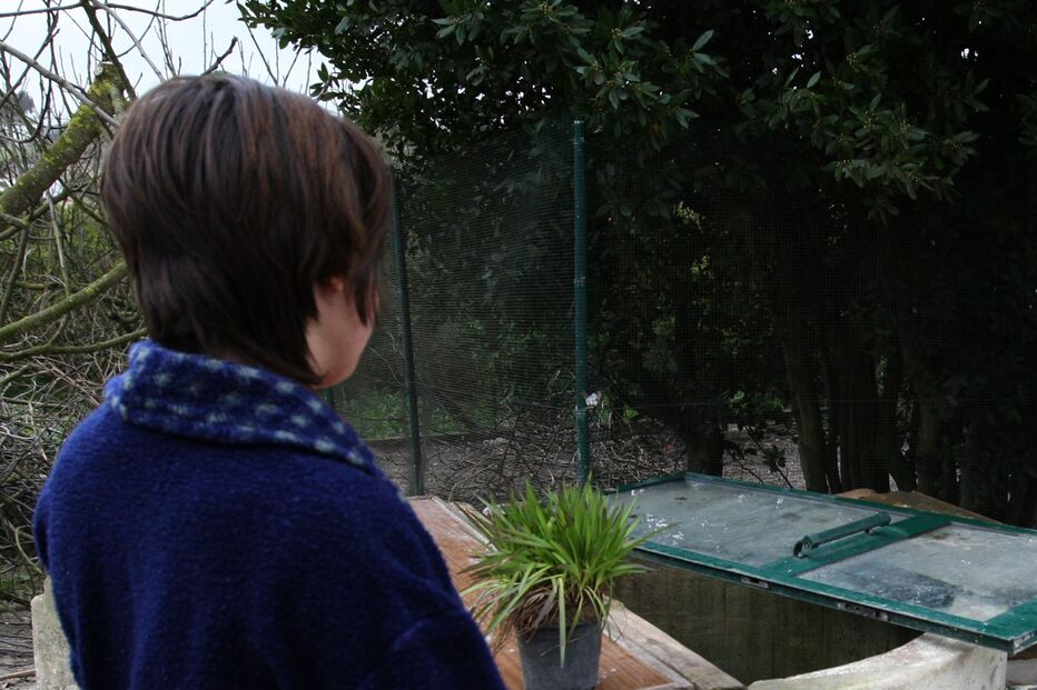 Jovem arrisca vida para salvar cadela