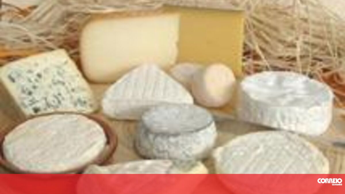 Queijo de leite materno - Mundo - Correio da Manhã