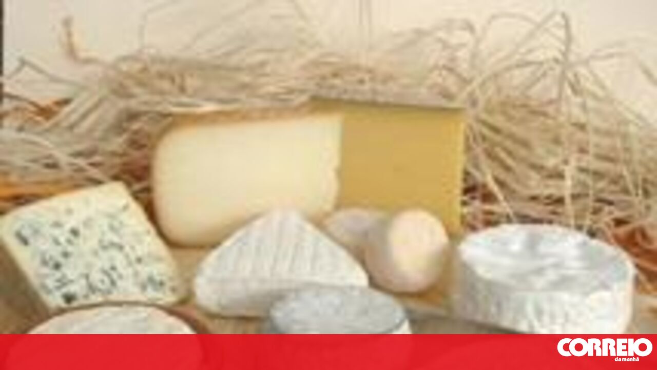 Queijo de leite materno - Mundo - Correio da Manhã