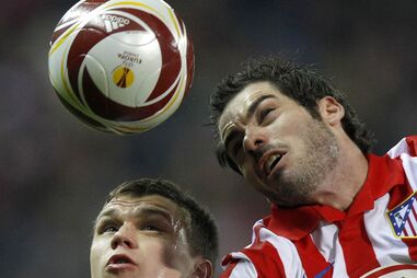 Leão de alma nova resiste a quase tudo