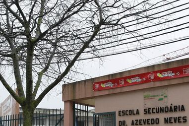 Director de escola gere empresa  