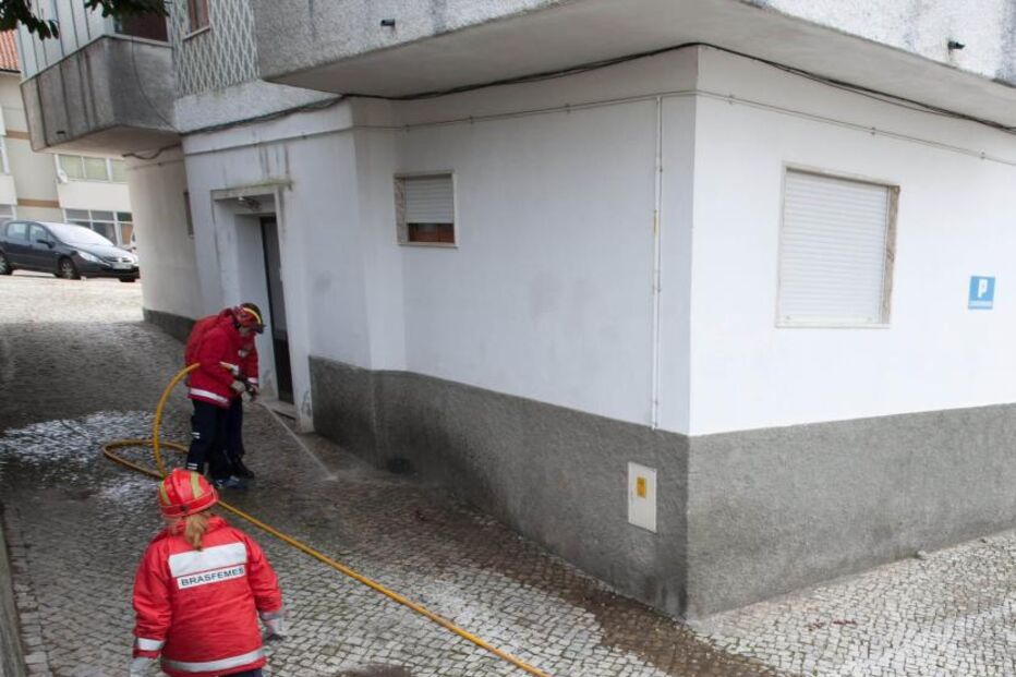 Mata genro a tiro em guerra de bens