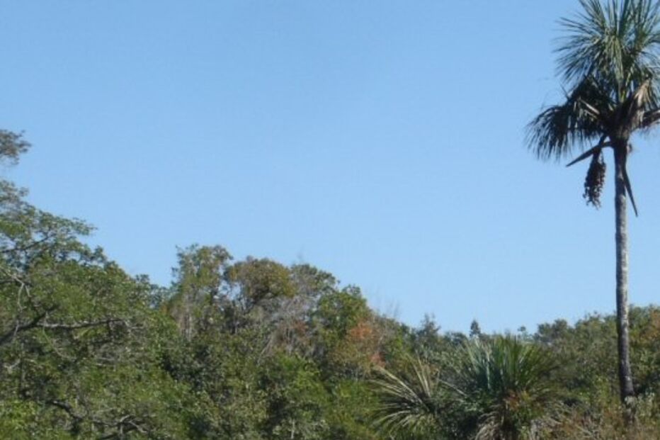 “Morte foi encomenda da ex-mulher por vingança