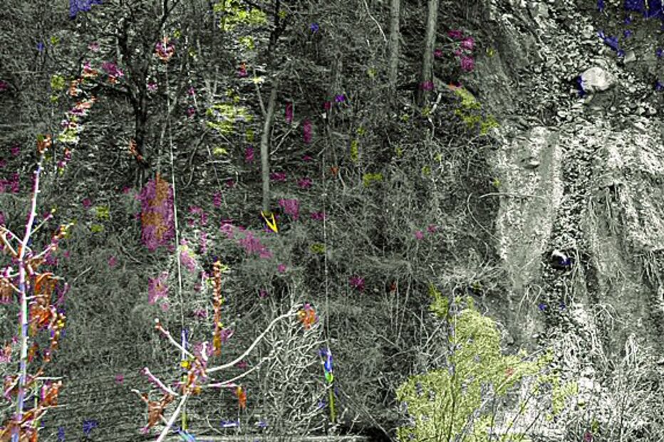 Descarrilamento faz nove mortos