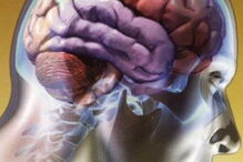 Cientistas conseguem eliminar tremores de Parkinson e Alzheimer