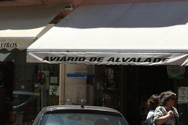 Atingido a tiro durante passeio